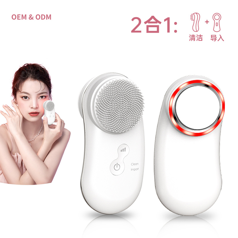 Nano Ionic Facial Steamer
