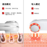 Nano Ionic Facial Steamer