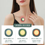 Nano Ionic Facial Steamer