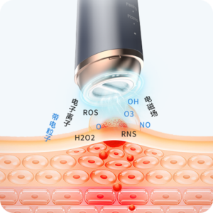 二合一等离子美容仪(images 31)