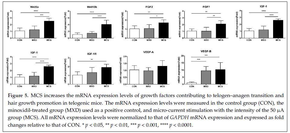 微电流能帮助长头发吗?——探索科技养发新方式(images 4)