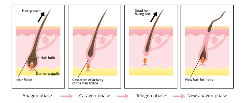 微电流能帮助长头发吗?——探索科技养发新方式(images 2)